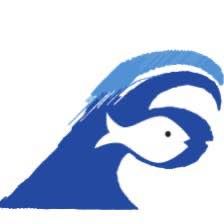 Distribuidora Pacífico Azul