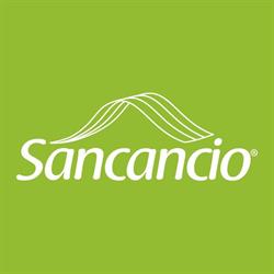 Centro Comercial Sancancio