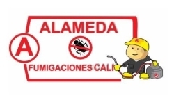 Alameda Fumigaciones