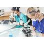 laboratorio