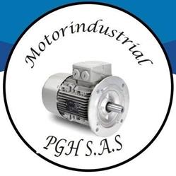 Motorindustrial Pgh Ltda.