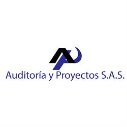 Auditoría y proyectos S.A.S
