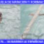 Subido por visitante en 14/05/2016 - ACUABELLO ESCUELA DE NATACION
