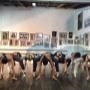 Academia Allegro