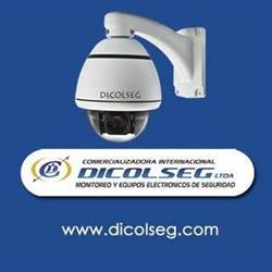 C.i. Dicolseg Ltda.