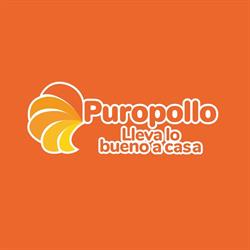 Industrias Puropollo S.a.