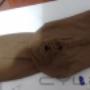 Subido por visitante en 25/10/2016 - TALON