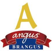 Angus Brangus Parrilla Bar