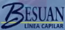 Besuan
