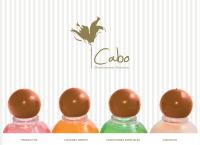 Sitio web de Cabo Distribuciones Hoteleras Ltda