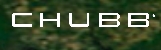 Chubb de Colombia Compañía de Seguros S.a. BOGOTÁ