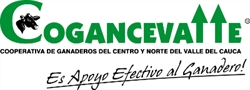 Cogancevalle