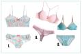 Curso de Patronaje y Escalado de Ropa Interior Femenina