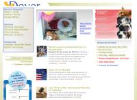 Sitio web de Clínica Veterinaria Dover