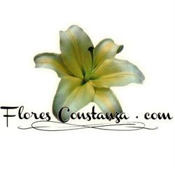 Flores Constanza