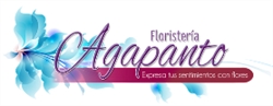 Agapanto Floristería
