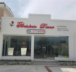 Floristeria Y Distribuidora Diana