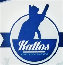 Kattos Centro Especializado Para Gatos