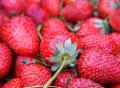 DEPILACIÓN DE FRUTAS