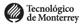 Fundación Instituto De Monterrey