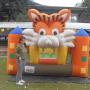 SALTARIN TIGRE