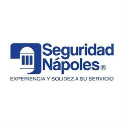 Seguridad Napoles Ltda