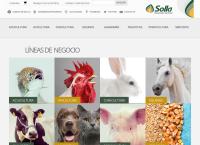 Sitio web de Solla S.a.