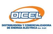 “dicel S.a.e.s.p.”