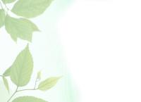 Sitio web de GREENPACK Ltda.