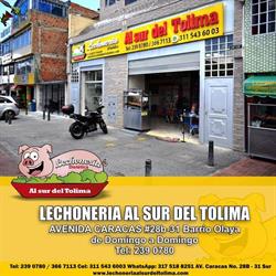 Al Sur Del Tolima Lechonería Elizabeth Toncón