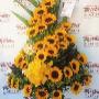 Subido por visitante en 31/03/2016 - Arreglo con más de 20 girasoles