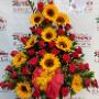 Subido por visitante en 31/03/2016 - Eres mi sol