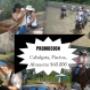 PROMOCION