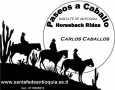 Paseos a Caballo