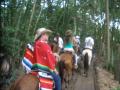 Caballos en Santa Fe de Antioquia Ruta 4