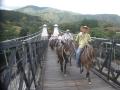 Alquiler de caballos Ruta 2