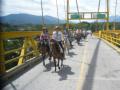 Caballos en Medellín Ruta 7