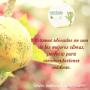 Subido por visitante en 8/07/2017