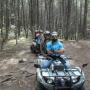 tour del bosque