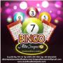 Subido por visitante en 5/08/2017 - BINGOS ALTO IMPACTO