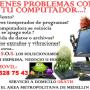 SYSTEMS OF SOLUTIONS
