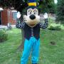 goofy