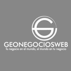 Geonegociosweb