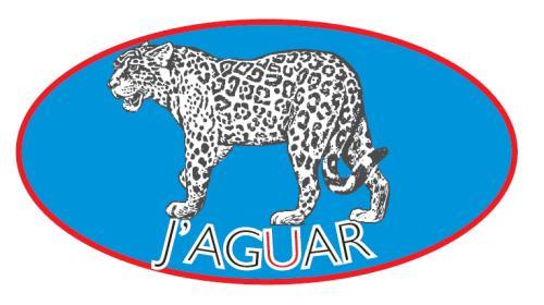 PRODUCTOS DE ASEO EL JAGUAR SAS