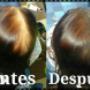Subido por visitante en 6/03/2017