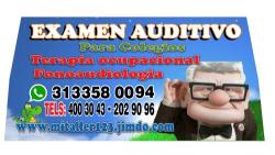 Taller de Fonoaudiologia