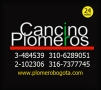 Cancinoplomeros