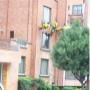 Subido por visitante en 29/04/2016