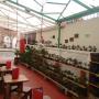 Mistura Colombia Bonsai Cafe