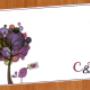 individual matrimonio CyF